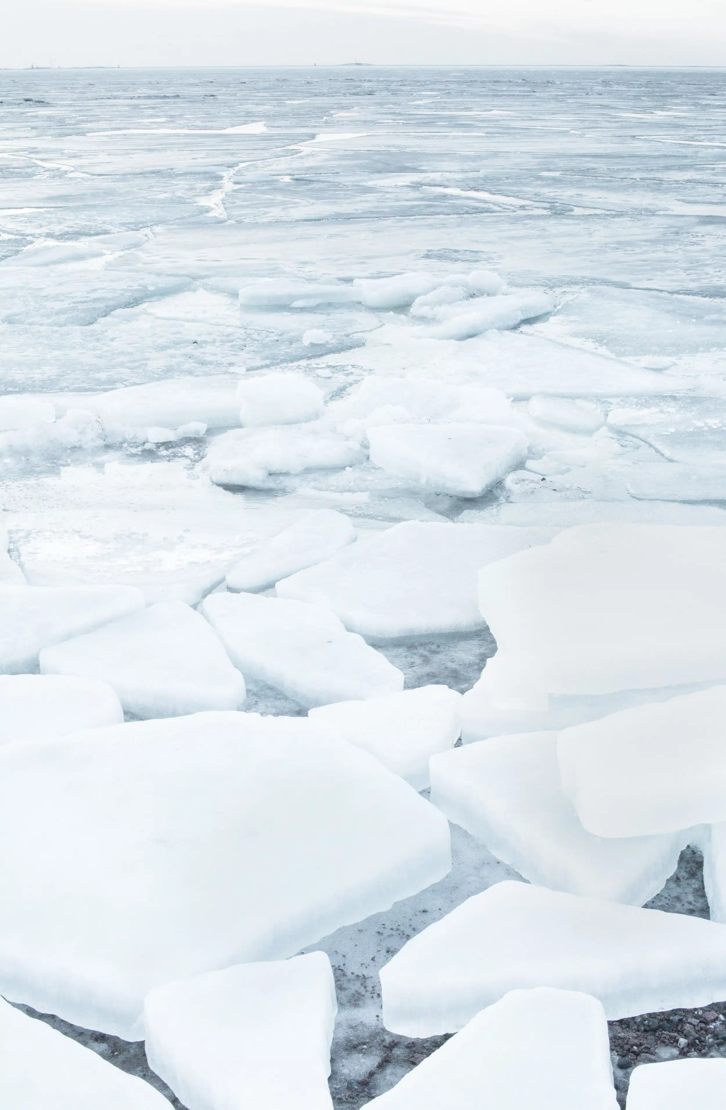 Freeze Your Credit Report Now