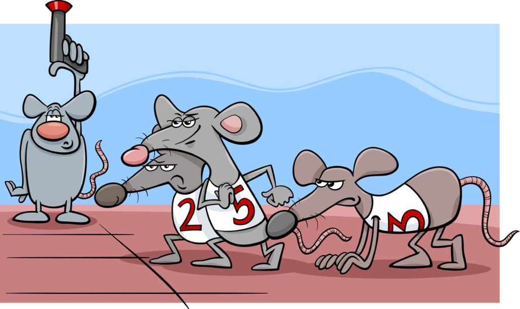 Financial Rat Race