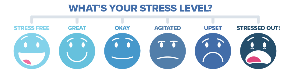 Stress Level Chart.png