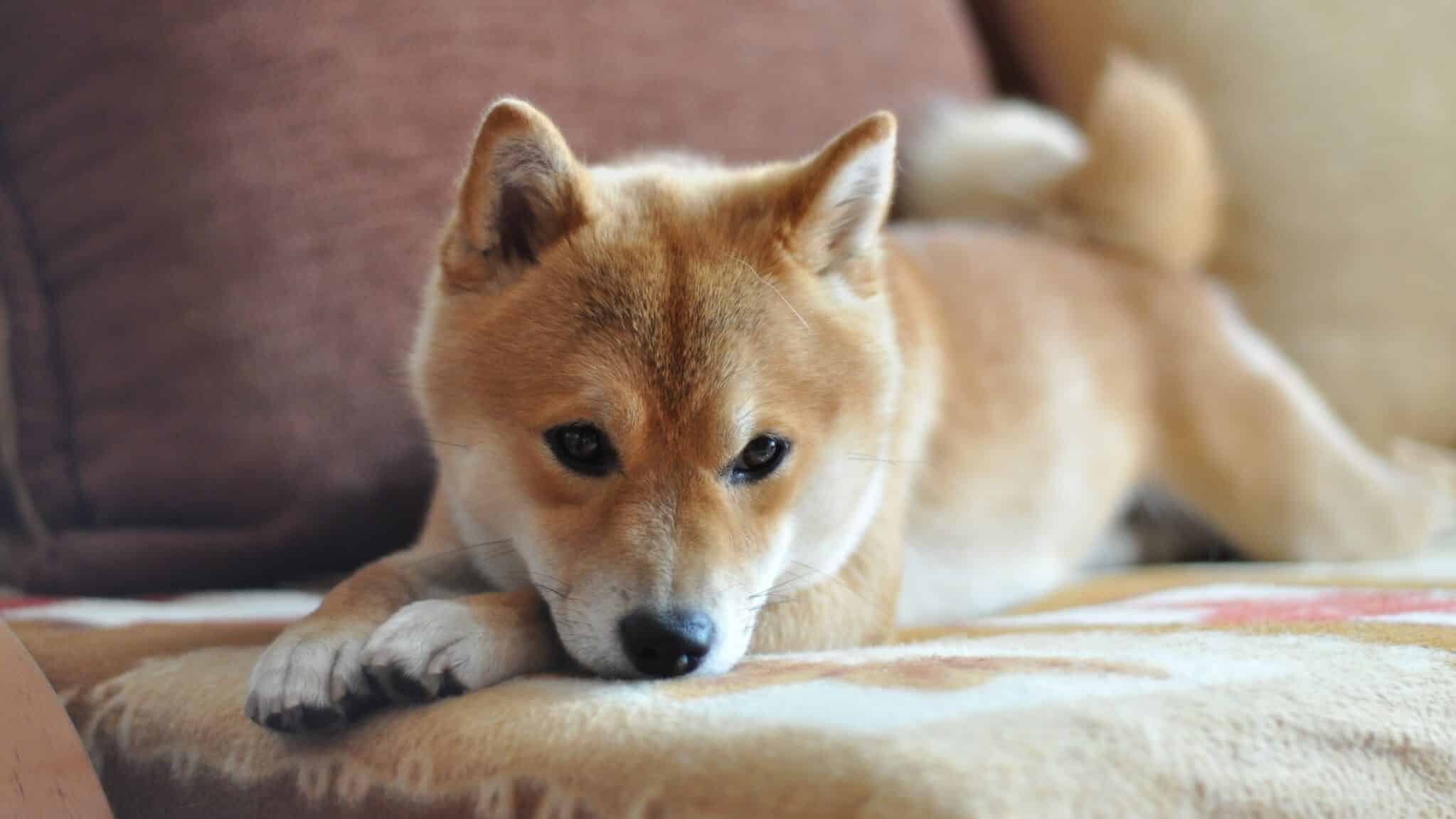 What is Passive Income?