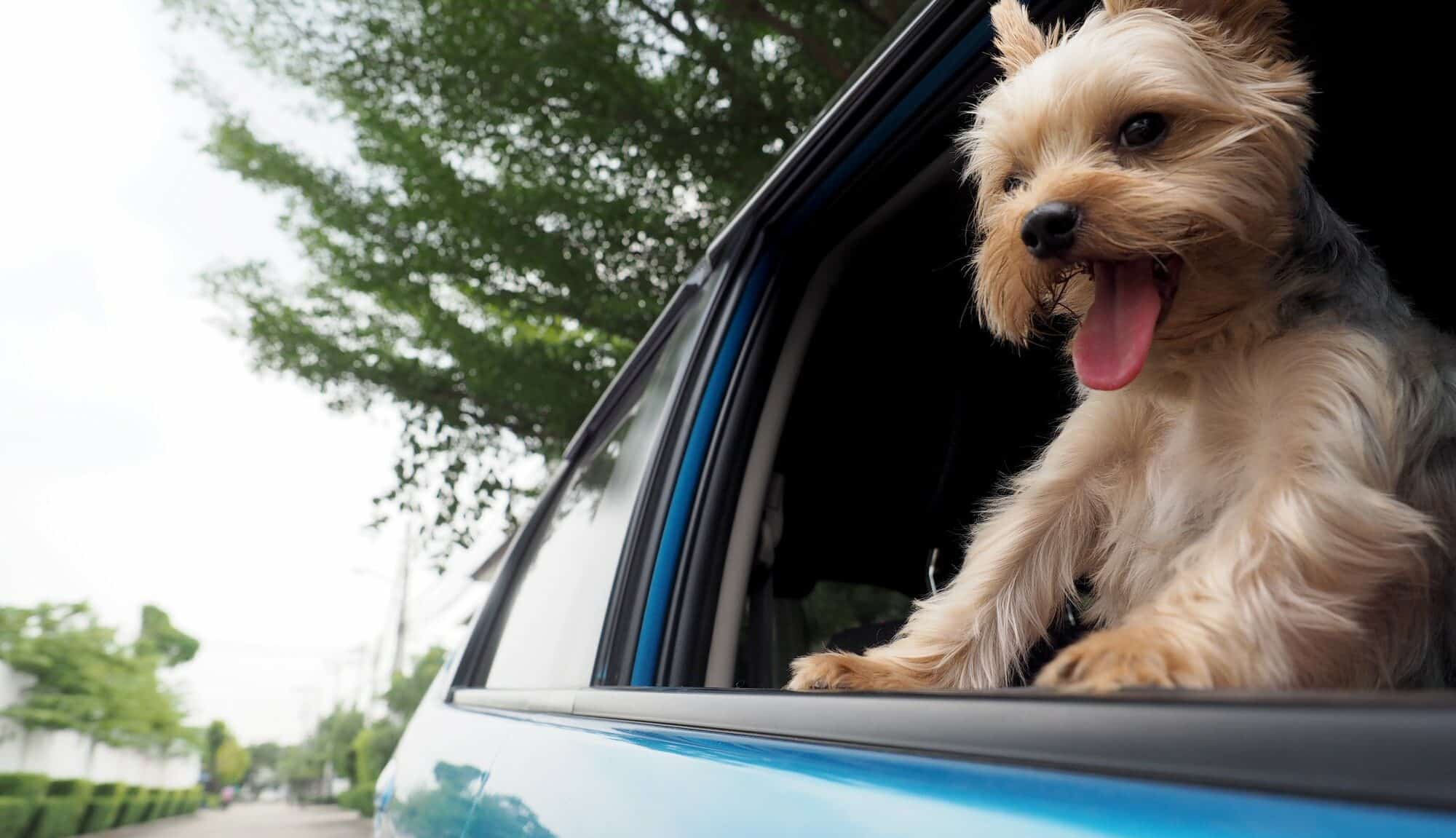 Can't Make Car Payment