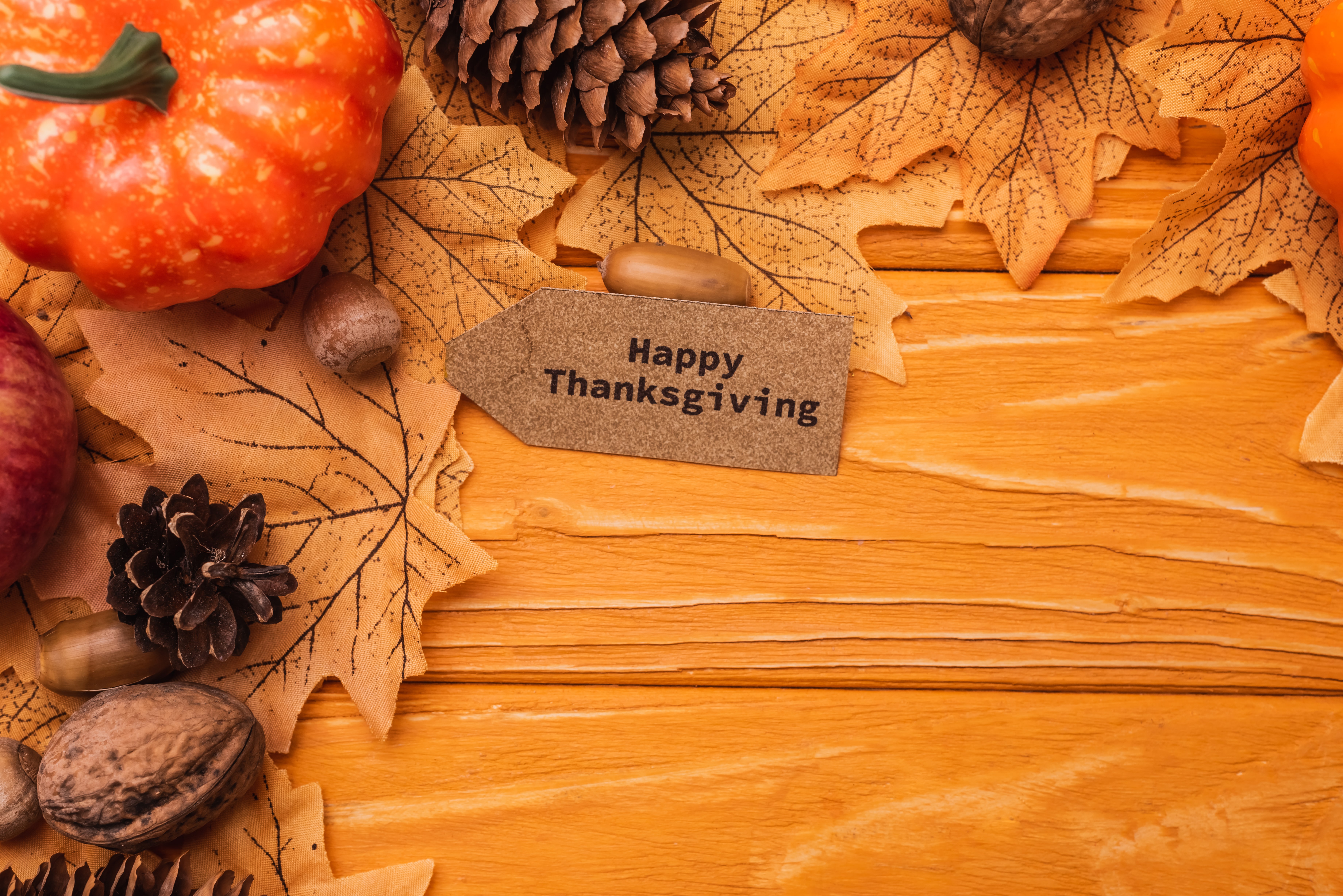 A Thanksgiving You Can Afford