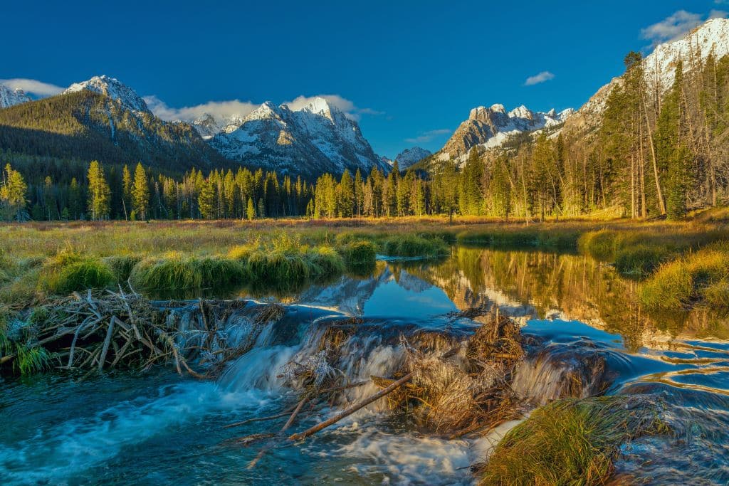 Sawtooth Mountains reflected in an Idaho lake