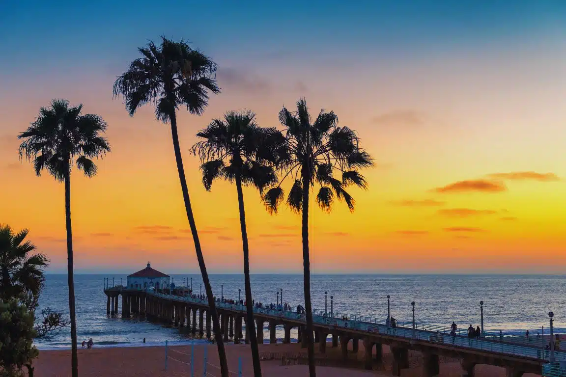 California sunset on the beach with palm tree silhouettes