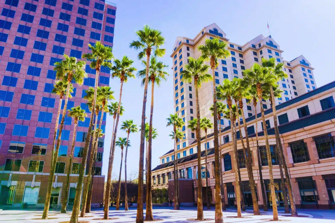 Downtown San Jose plaza lined with palm trees, high-rise offices and hotels in the background.