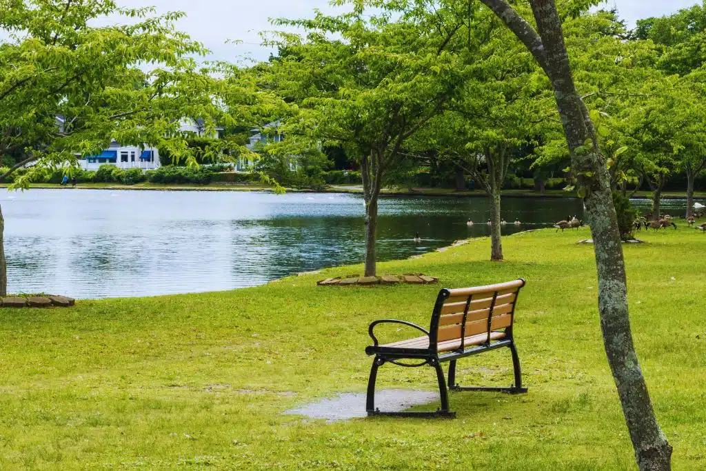 A quiet park scene in Babylon, New York: a wooden bench looks over a tree-lined pond with geese along the shoreline and neighborhood homes across the water, reflecting the village’s green spaces and waterfront charm.