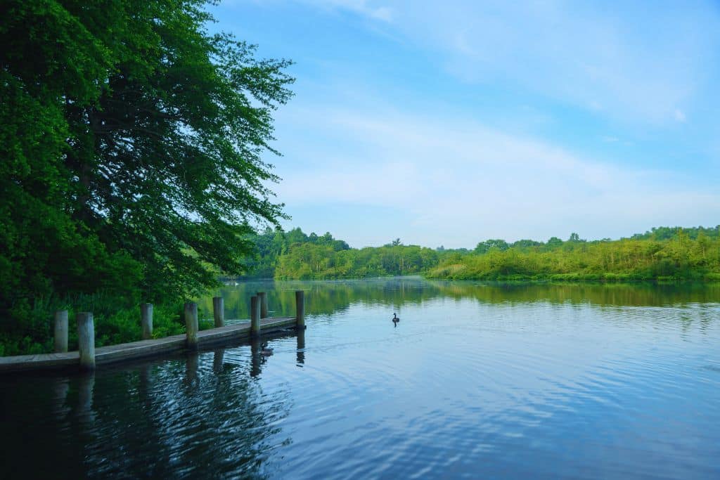 Quiet tree-lined street in Smithtown with historic homes, American flags, and autumn foliage.