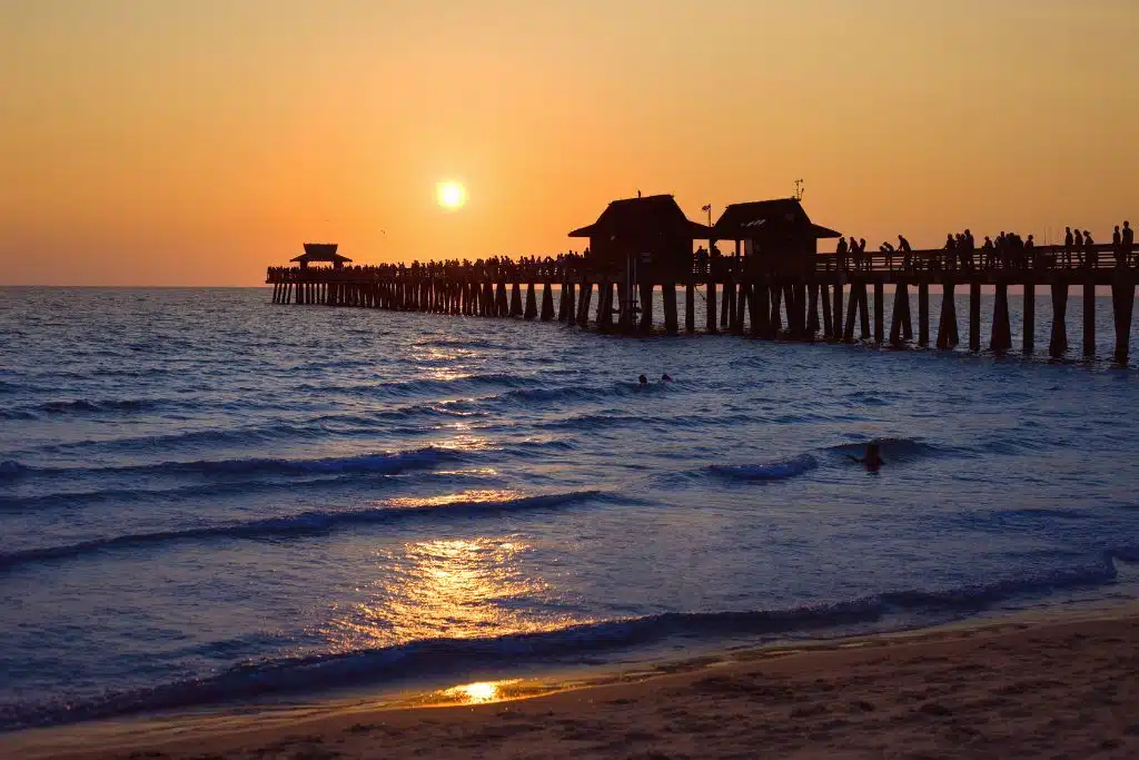 Sunset over a Florida beach with palm trees silhouetted against orange skies and calm ocean waves.