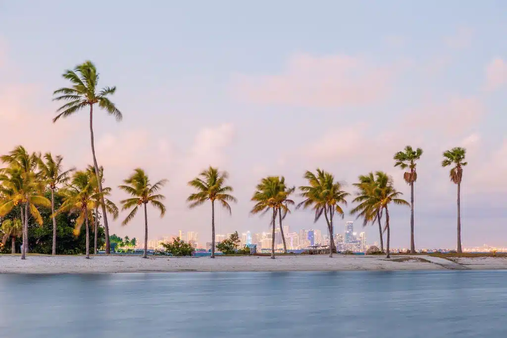 Miami skyline at twilight with illuminated high-rises, Biscayne Bay, and palm trees in the foreground.