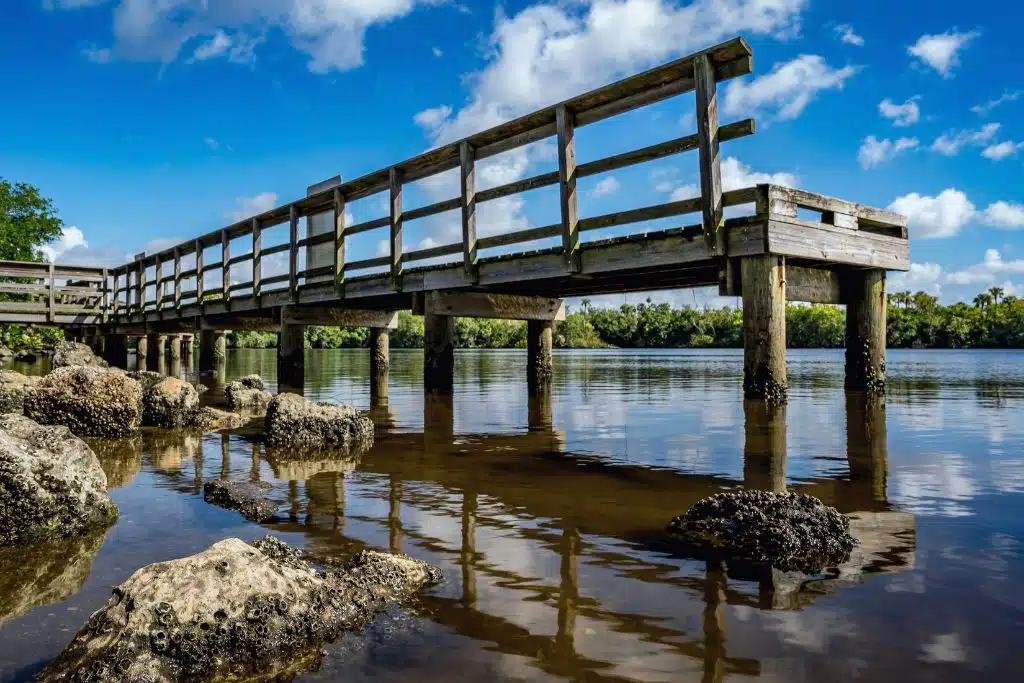 Port St. Lucie riverfront with palm trees, calm water, and residential homes under a sunny Florida sky.