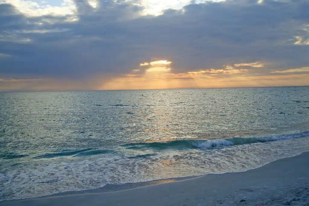 St. Petersburg waterfront at sunset with the skyline, palm trees, and calm Tampa Bay waters.