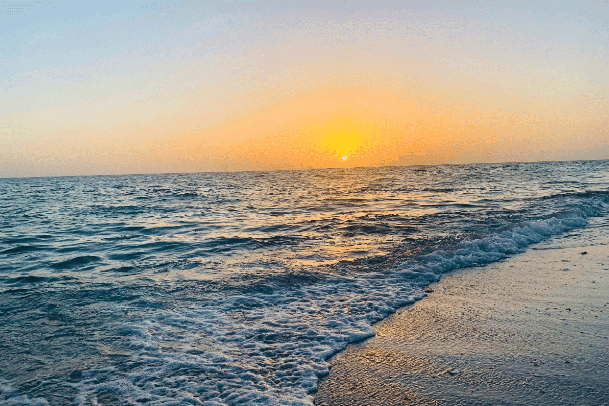 Scenic Florida landscape