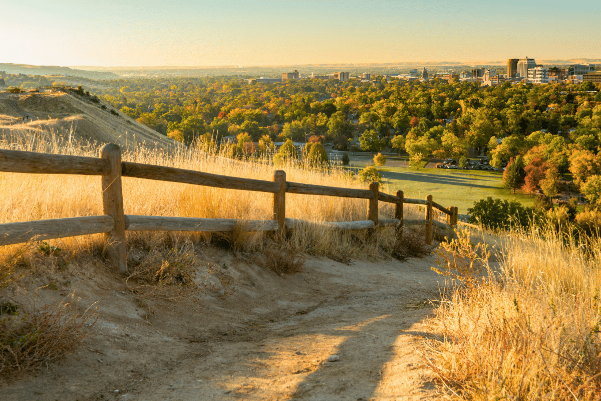 Boise skyline viewed from the foothills in autumn