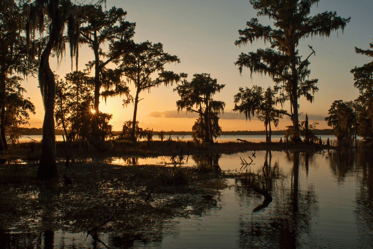 Scenic Louisiana landscape
