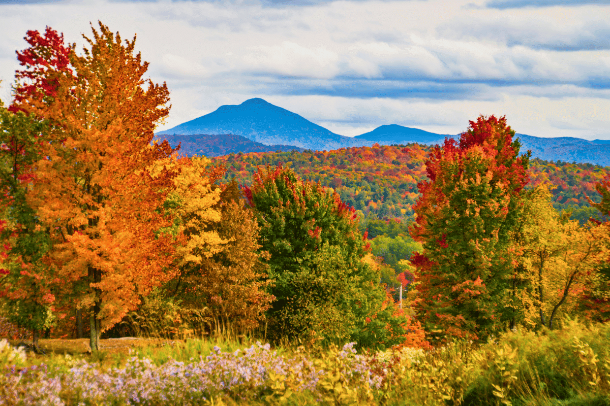 Scenic Vermont landscape