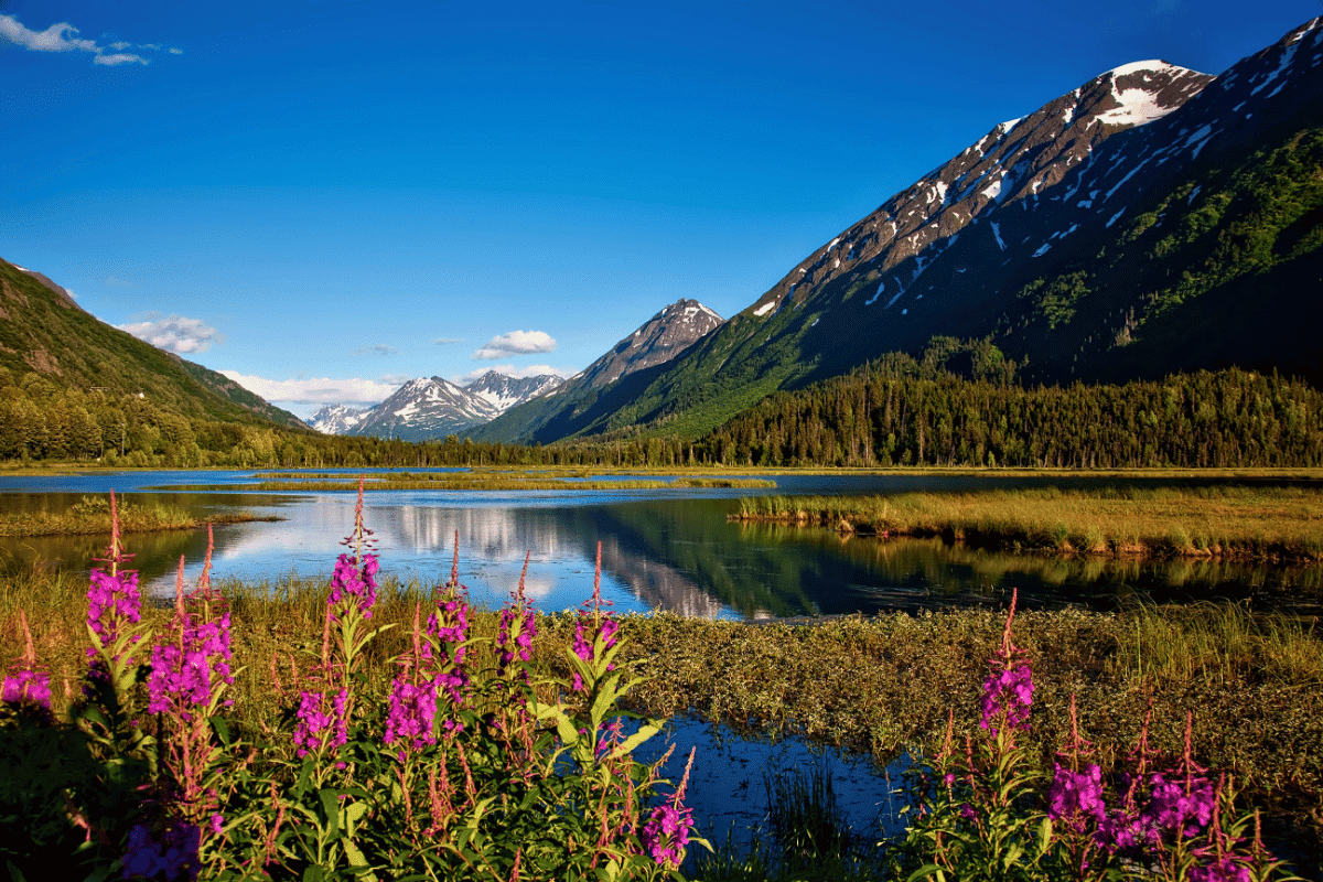 debt consolidation in idaho